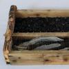 asche, federn (ashes, feathers)