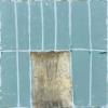 haus aus licht, 5